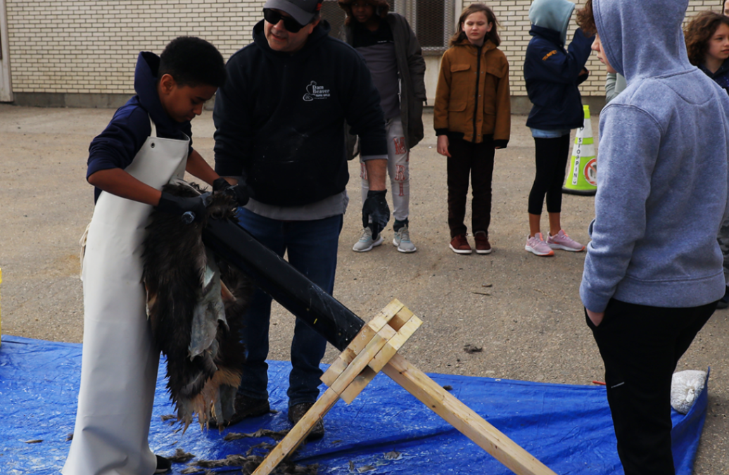 Hide Tanning With Angus – Regina Catholic Schools